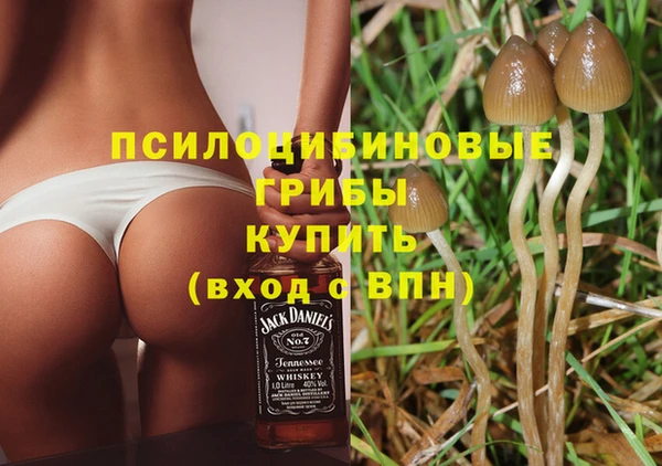 хмурый Алзамай