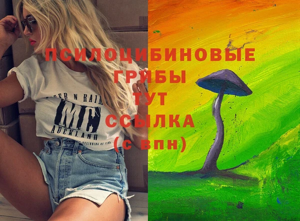 хмурый Алзамай