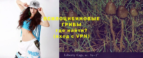 apvp Алексин