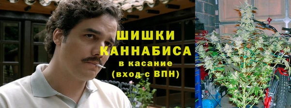 хмурый Алзамай