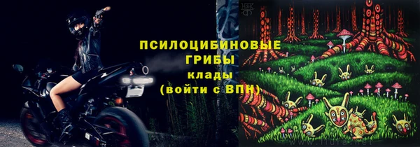хмурый Алзамай
