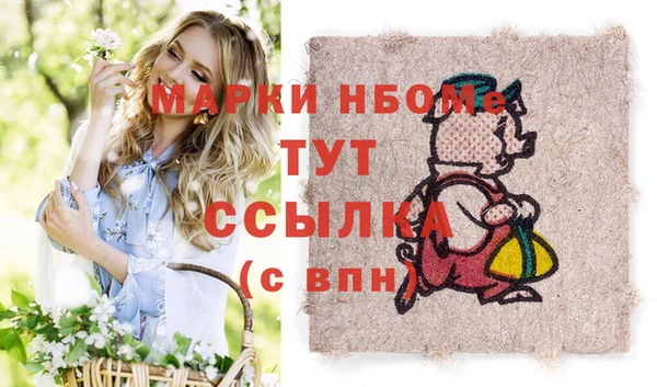хмурый Алзамай